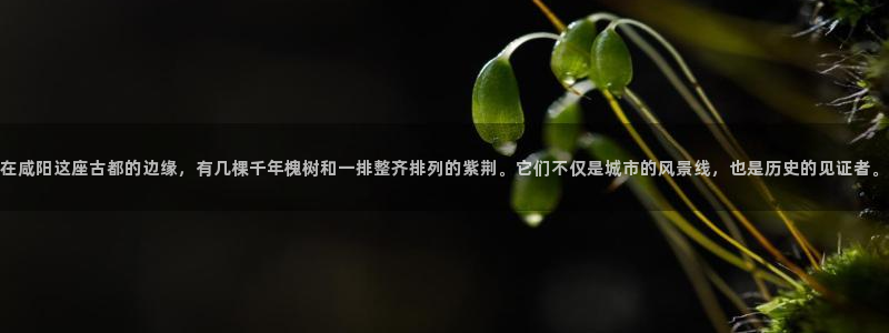 摩根娱乐 股s东50015