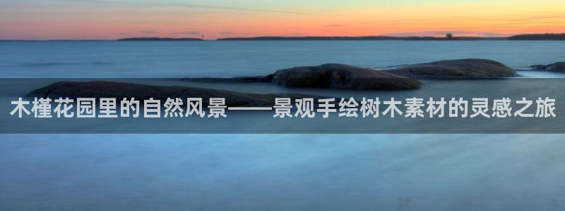 摩根娱乐宝微交易