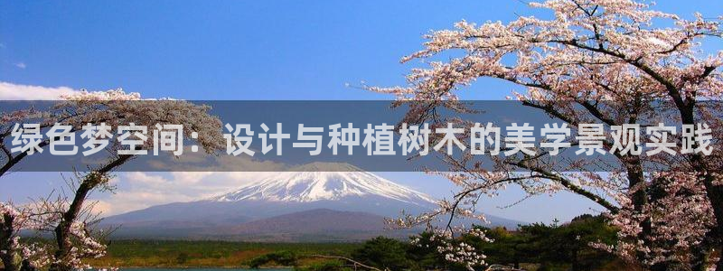 摩根娱乐宝收益怎么样