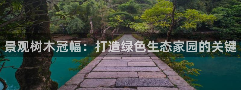 白宫摩根娱乐