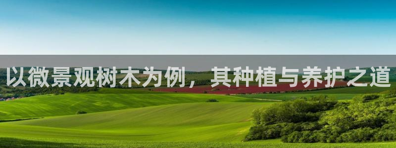 亚瑟摩根娱乐的地方