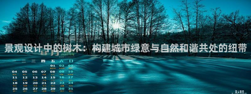 摩根娱乐会所
