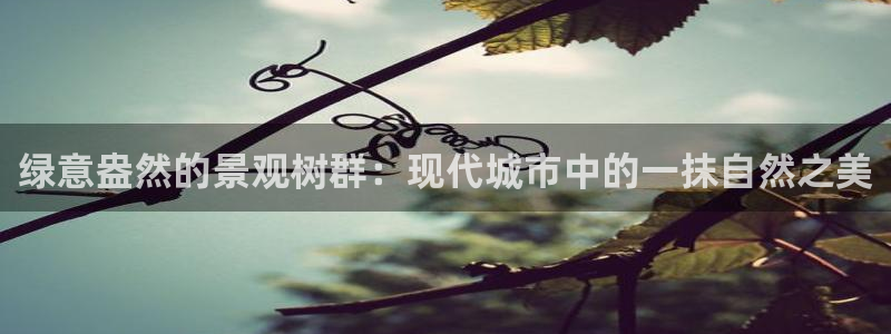 摩根娱乐50186叩杨