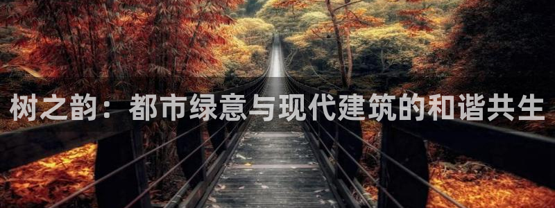 摩根娱乐百家号