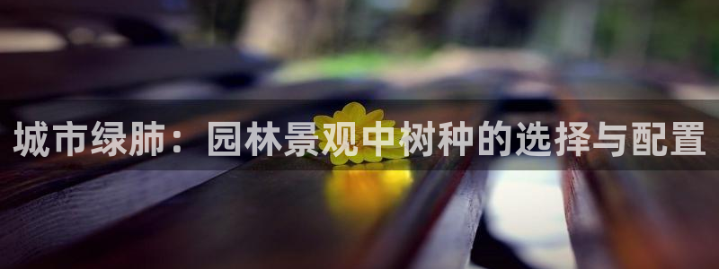 义乌摩根娱乐会所老板