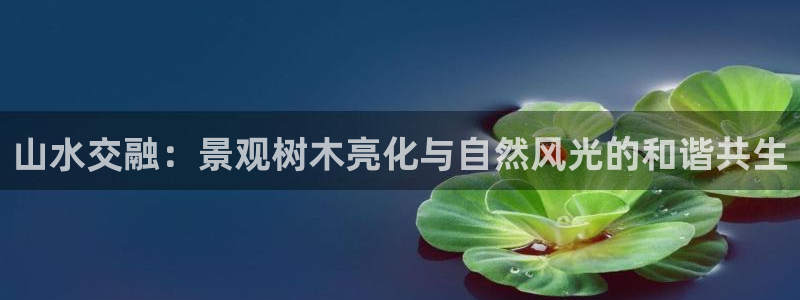 义乌摩根娱乐消费多少