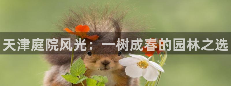 成都摩根娱乐会所