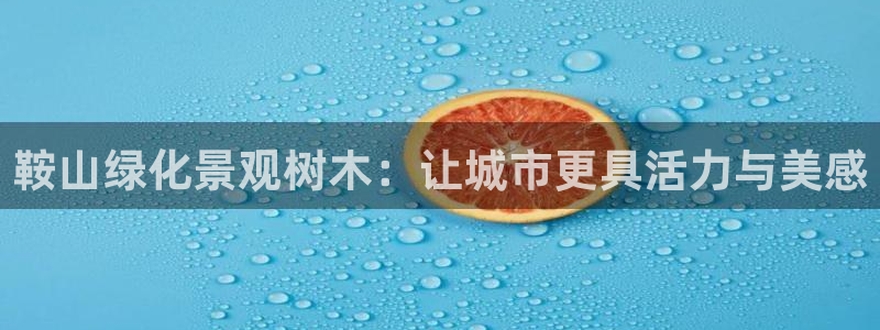 摩根娱乐宝是什么游戏