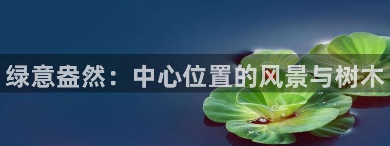 摩根娱乐宝是什么意思