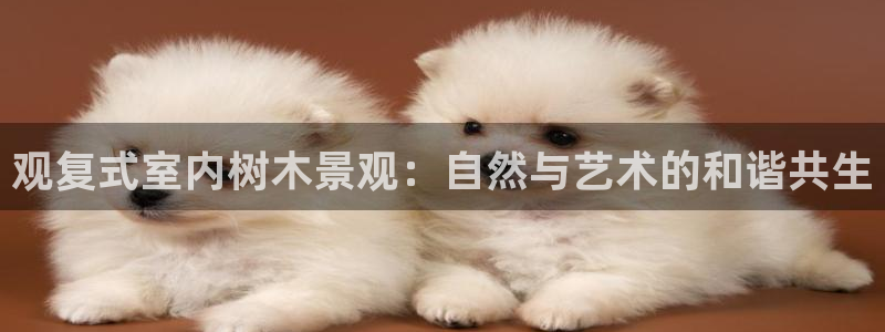 杭州市摩根国际娱乐会所