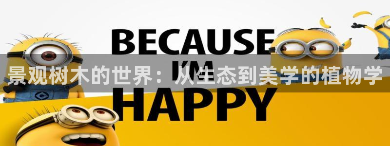 摩根娱乐宝app