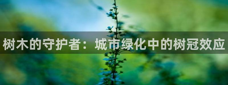 玩摩根娱乐宝亏了三千：树木的守护者：城市绿化中的树冠效应