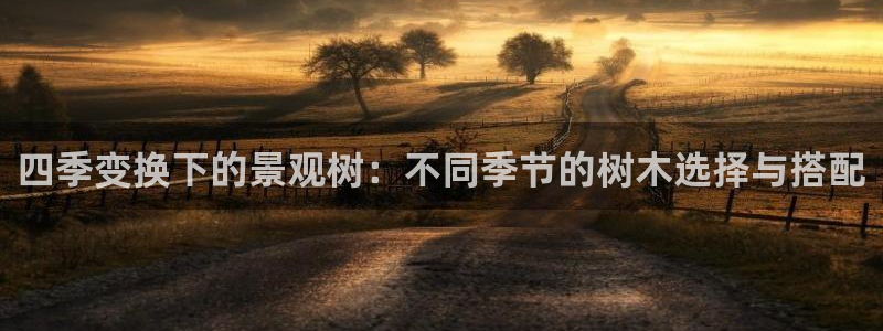 摩根娱乐二三事：四季变换下的景观树：不同季节的树木选择与搭配