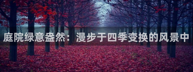 摩根娱乐挂机项目是什么
