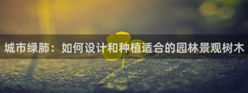 猫眼娱乐摩根士丹利