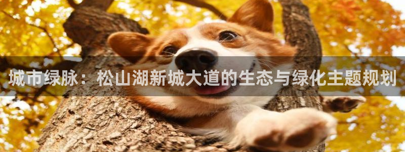 摩根娱乐宝进不去