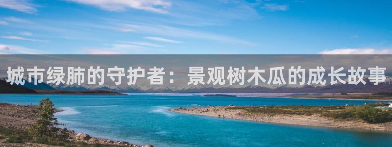 摩根娱乐老lb板50820