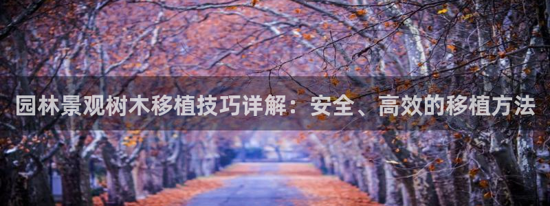 摩根国际娱乐：园林景观树木移植技巧详解：安全、高效的移植方法