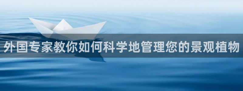 泉州摩根娱乐会所地址