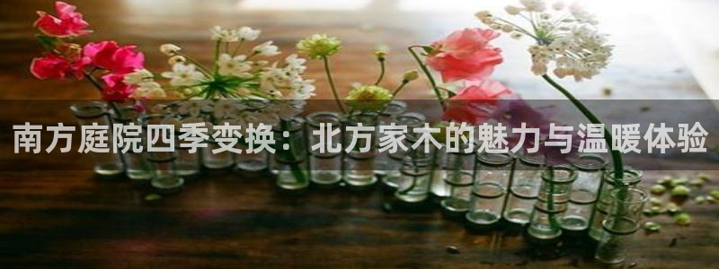 摩根娱乐视频大全：南方庭院四季变换：北方家木的魅力与温暖体验