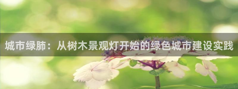 摩根娱乐宝可靠吗：城市绿肺：从树木景观灯开始的绿色城市建设实践