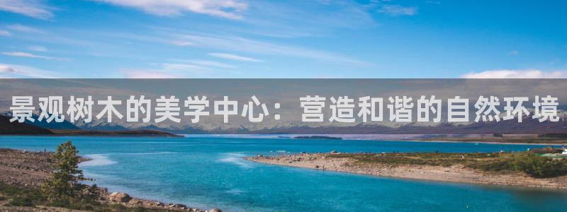 猫眼娱乐摩根士丹利