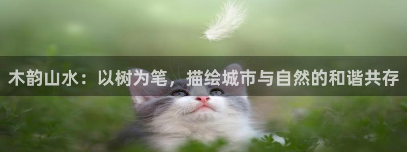 摩根娱乐挂机项目有哪些