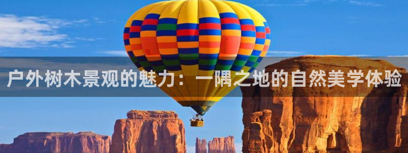 摩根娱乐黑台