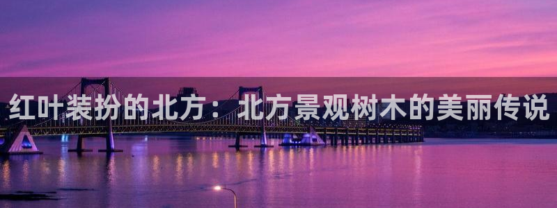 摩根娱乐宝官网百度