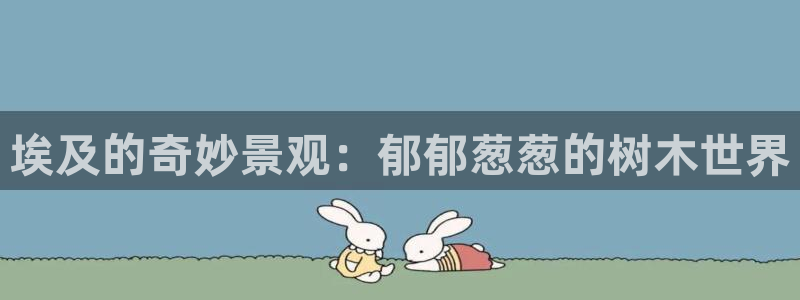 昆明滇池路摩根道娱乐