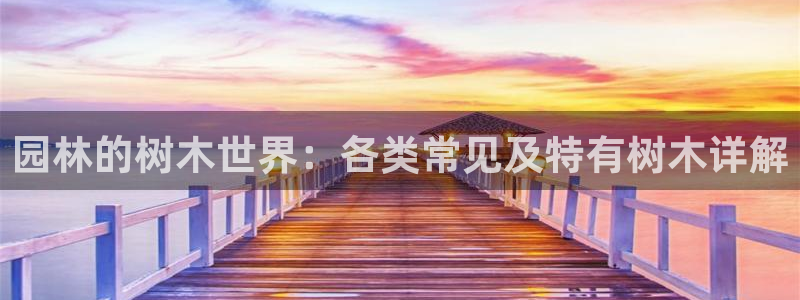 摩根娱乐开户总s管50015 18