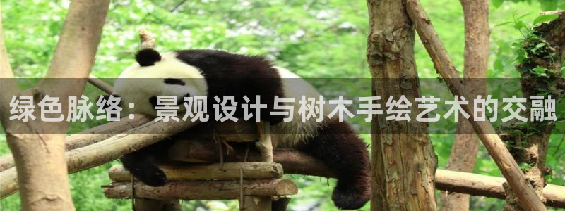 摩根娱乐宝真的假的