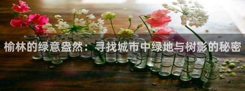 摩根娱乐云挂机项目