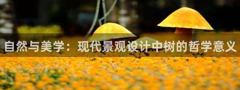 摩根娱乐 c招a商77130