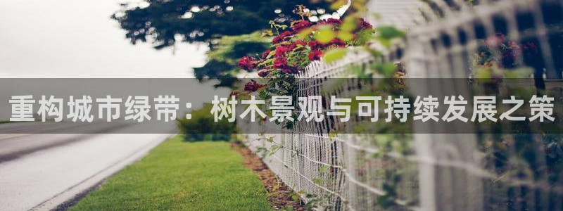 芜湖摩根一百有哪些娱乐
