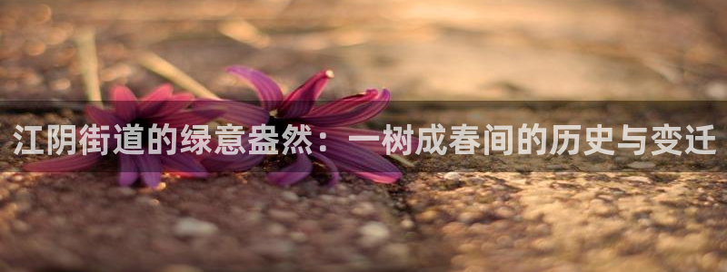 摩根娱乐宝软件下载：江阴街道的绿意盎然：一树成春间的历史与变迁