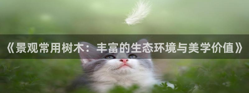 摩根娱乐二三事