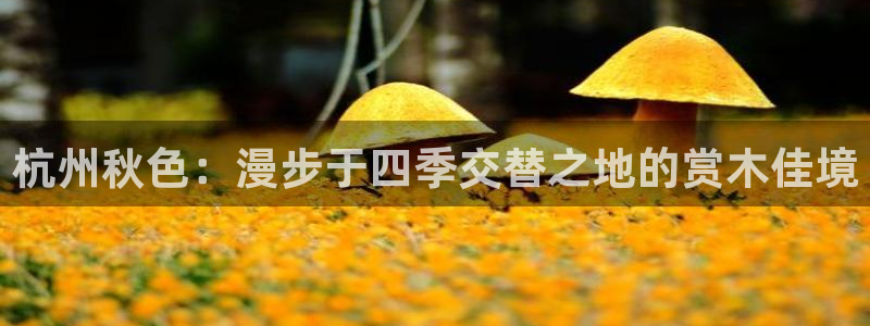 摩根娱乐宝手机客户端