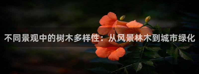 泉州摩根会娱乐保安公司