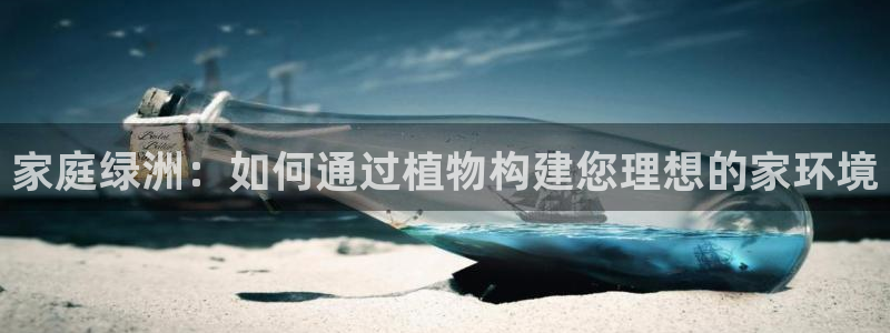 摩根娱乐宝怎么盈利