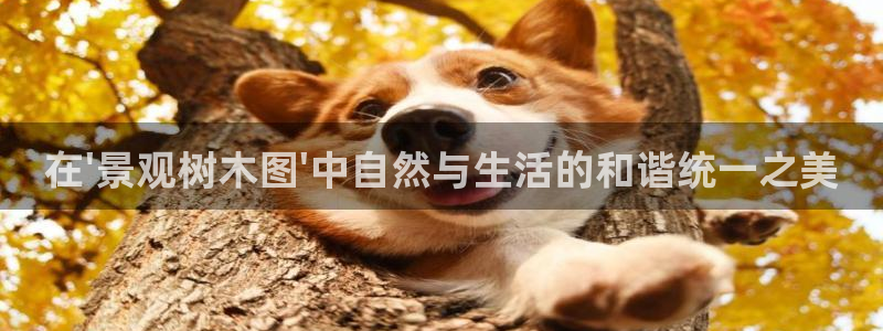 玩摩根娱乐宝亏了三千