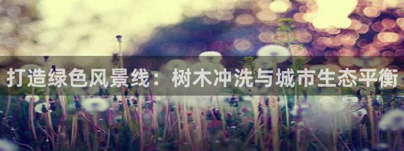 摩根中央公园娱乐