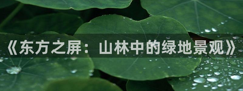 摩根娱乐骗局：《东方之屏：山林中的绿地景观》