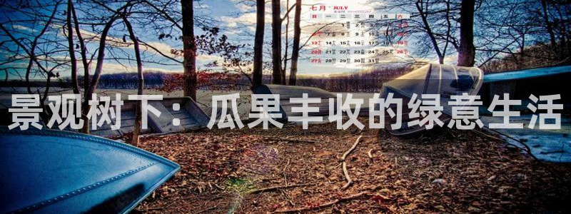 摩根娱乐宝使用操作
