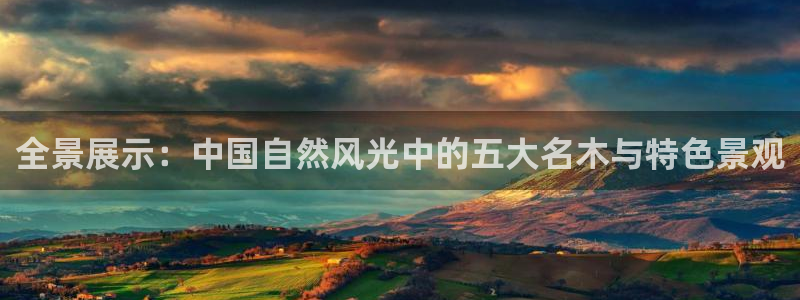 下载摩根娱乐宝