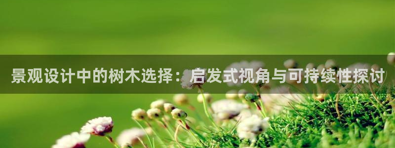 摩根合约娱乐宝