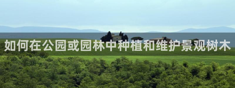 摩根空间附近休闲娱乐