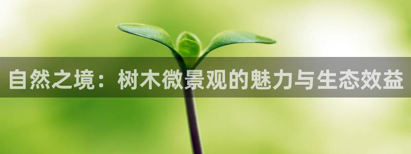 泉州摩根会娱乐会所地址