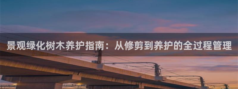 摩根娱乐宝吧：景观绿化树木养护指南：从修剪到养护的全过程管理
