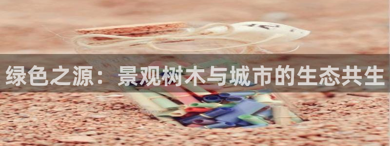 浙江义乌摩根娱乐场所